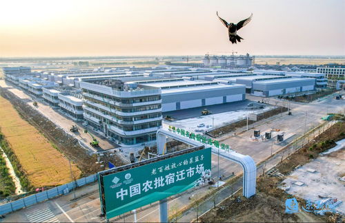 產業旺、村和美、同致富 宿遷集成推進鄉村全面振興的建筑工程實踐